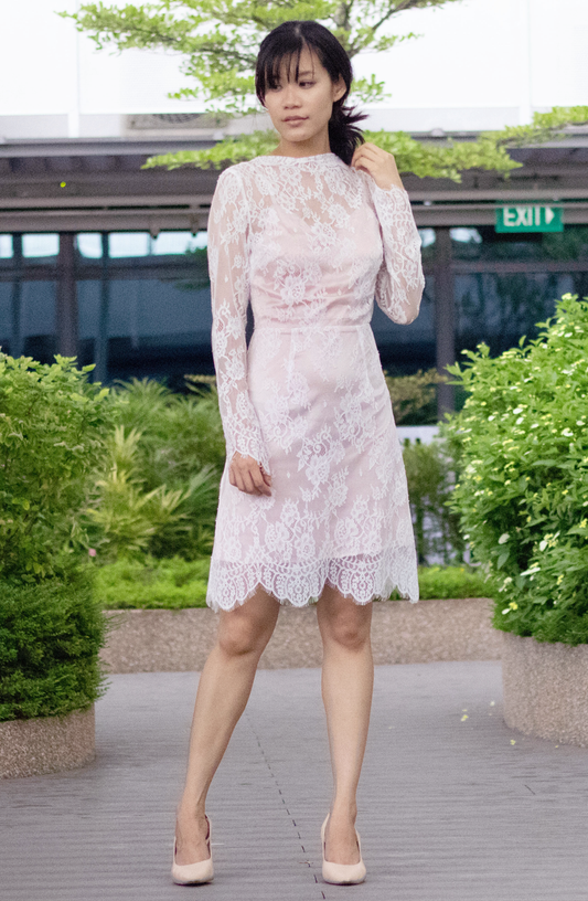 Soft Princess Pink High-Neck Drape Collar Romantic Delicate Lace Long Sleeve Dress