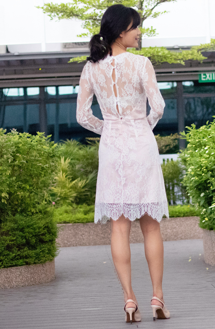 Soft Princess Pink High-Neck Drape Collar Romantic Delicate Lace Long Sleeve Dress
